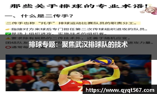 排球专题：聚焦武汉排球队的技术