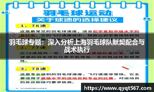 羽毛球专题：深入分析上海羽毛球队默契配合与战术执行