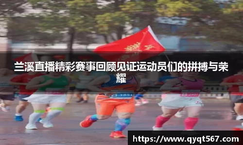 3377体育官网