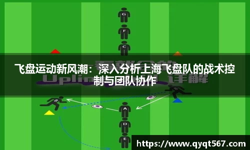 飞盘运动新风潮：深入分析上海飞盘队的战术控制与团队协作