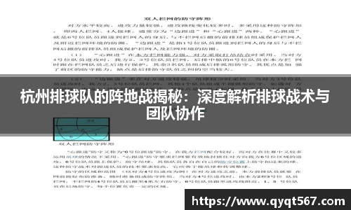 3377体育官网