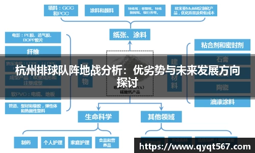 杭州排球队阵地战分析：优劣势与未来发展方向探讨