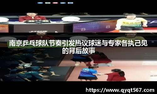 南京乒乓球队节奏引发热议球迷与专家各执己见的背后故事