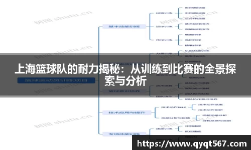 3377体育官网