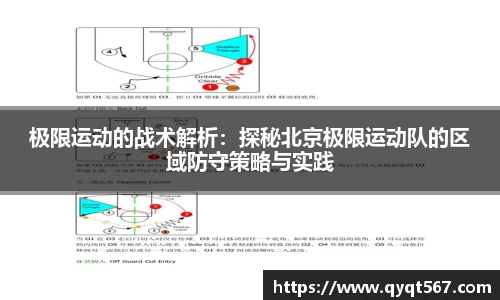 3377体育官网