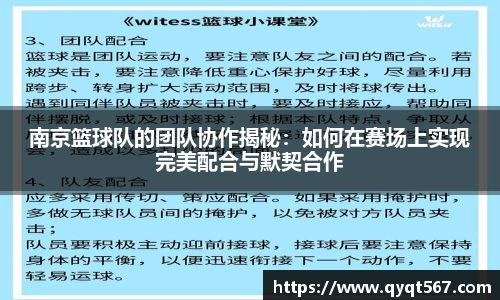 3377体育官网