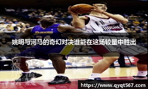 姚明与河马的奇幻对决谁能在这场较量中胜出