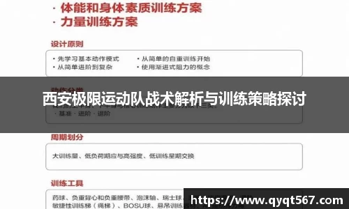 3377体育官网