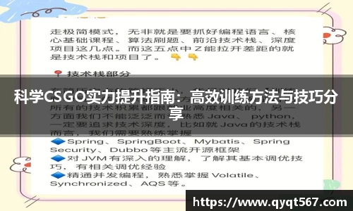3377体育官网