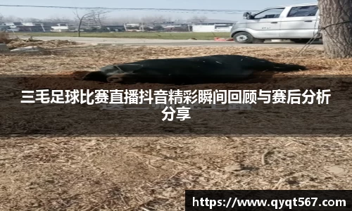 6T体育入口